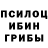 Псилоцибиновые грибы прущие грибы Anya Partko